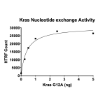 Kras G12A Nucleotide Exchange Assay Kit